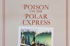 Polar-Express-Invtation